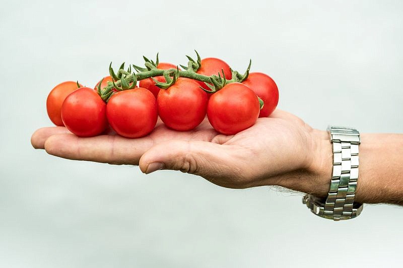 Партнер Томат ЧЕРРИ ПЛАЗА F1 ^(5шт) 2-ной пак, изображение 1