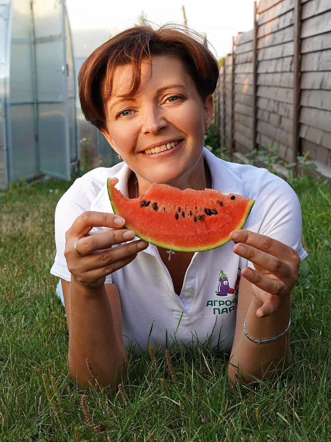 Партнер Арбуз ДИНАМИТ F1 ^(5шт) 2-ной пак, изображение 2