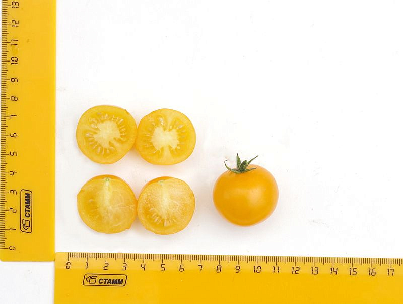 Партнер Томат БАЛКОННОЕ ЧУДО (желтый) ^(0,05г) 2-ной пак, изображение 5