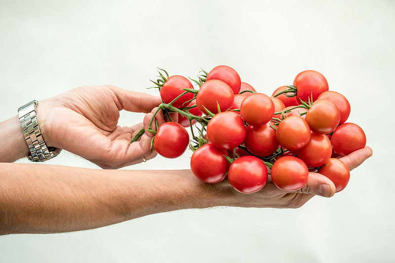 Партнер Томат ЧЕРРИ ЛИТЛПИНКИ F1 ^(10шт) 2-ной пак, изображение 1