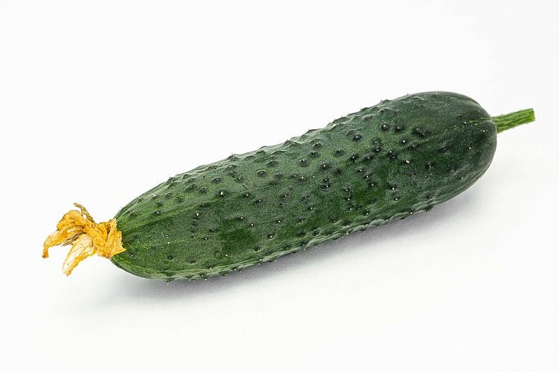 Партнер Огурец ГУННАР F1 ^(5шт), изображение 4