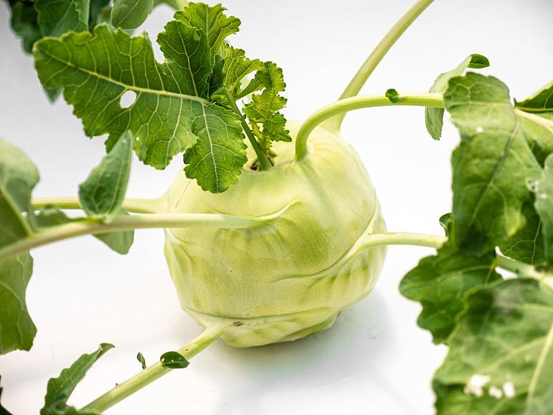 Партнер Капуста кольраби КОРИСТ F1 ^(10шт), изображение 2