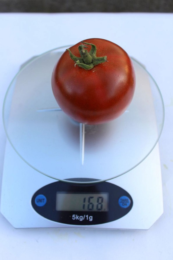 Партнер Томат КАРЕН F1 ^(5шт) 2-ной пак, изображение 2