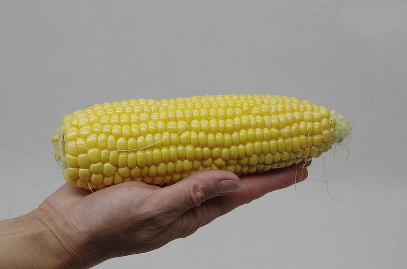 Партнер Кукуруза сахарная СПИРИТ F1 ^(3г), изображение 1