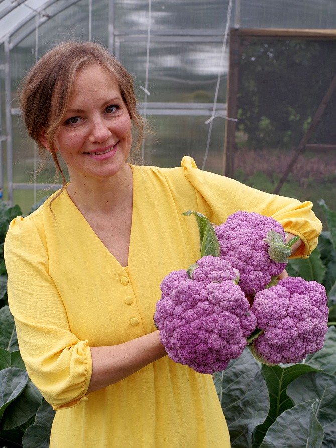 Партнер Капуста цветная ДЕПЕРПЛ F1 ^(10шт в амп), изображение 1