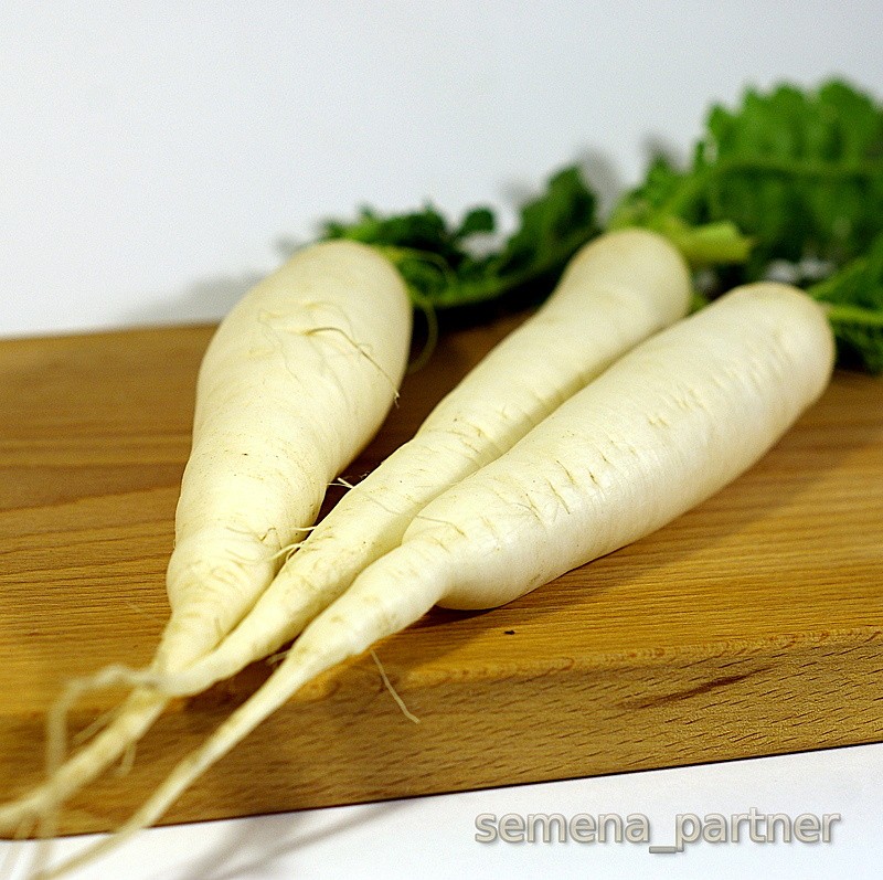 Партнер Дайкон ДУБИНУШКА ^(1г), изображение 1