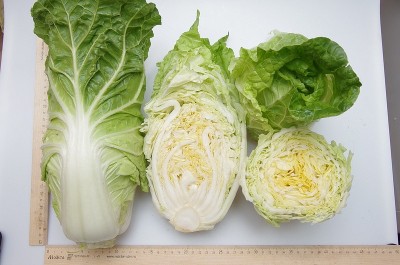 Партнер Капуста Пекинская НЕЖНОСТЬ F1 ^(0,5г), изображение 4