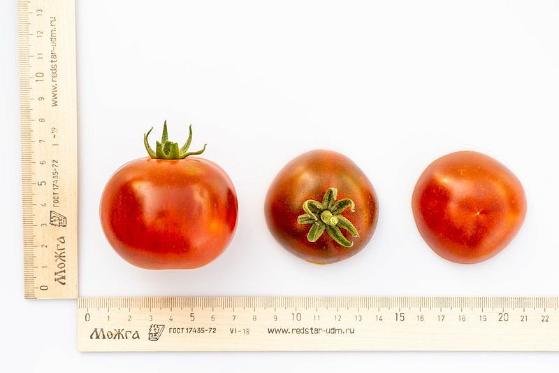 Партнер Томат КАРЕН F1 ^(5шт) 2-ной пак, изображение 3