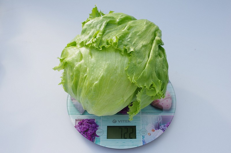 Партнер Салат кочанный ТАРЗАН ^(1г), изображение 2