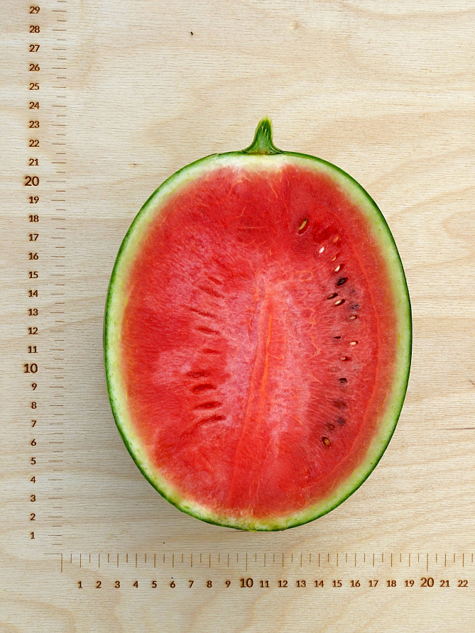 Партнер Арбуз КУБОК ОГНЯ F1 ^(5шт) 2-ной пак, изображение 4