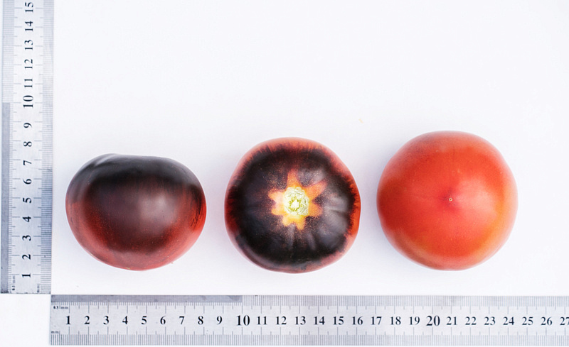 Партнер Томат ЧЕРНАЯ БОГИНЯ ^(10шт) 2-ной пак, изображение 2