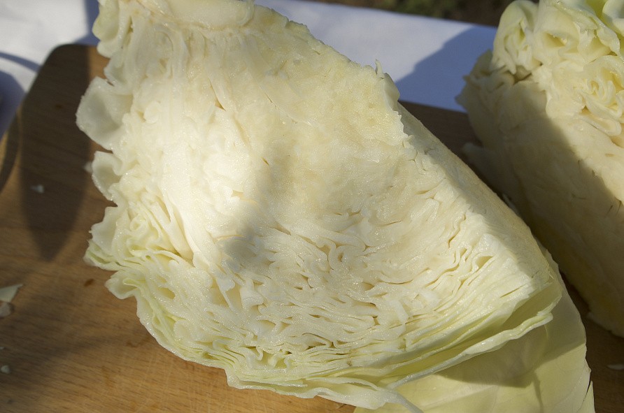 Партнер Капуста б/к СБ-3 F1 ^(0,2г в амп), изображение 3