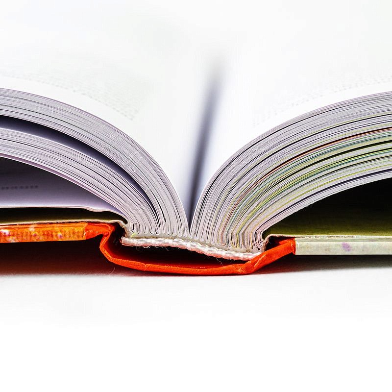 Ахатов А.К., Шишкина С.Н. Мир томата глазами фитопатолога (4-е изд.), изображение 4