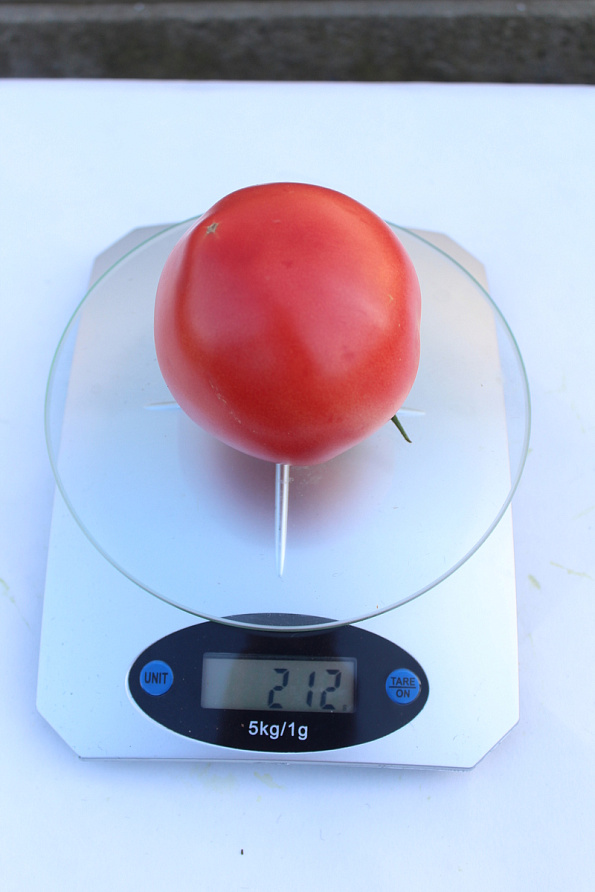 Партнер Томат ЛЕДИ РОУЗ F1 ^(5шт) 2-ной пак, изображение 4