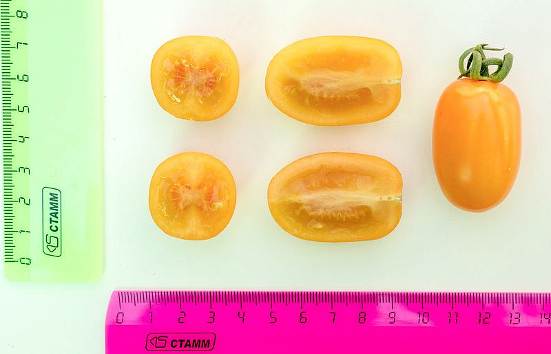 Партнер Томат ЧЕРРИ МАГНИФИКА F1 ^(10шт) 2-ной пак, изображение 2