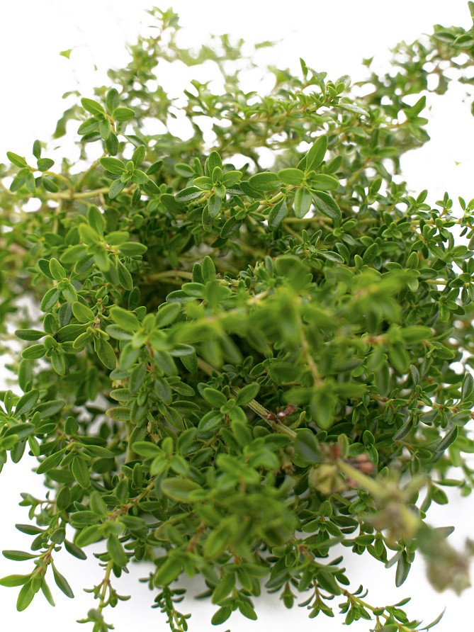 Партнер Тимьян овощной МЕДОК ^(0,2г), изображение 4