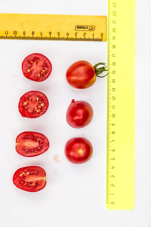 Партнер Томат ЧЕРРИ ЭЛИЗАБЕТ F1 ^(10шт) 2-ной пак, изображение 1