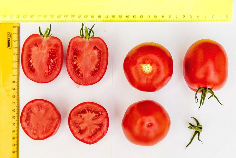 Партнер Томат ВЕЛИКОСВЕТСКИЙ F1 ^(10шт) 2-ной пак, изображение 2