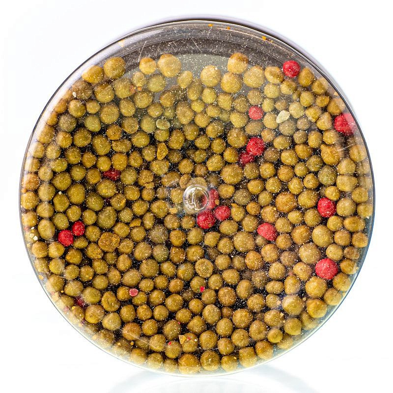 Osmocote Exact Standard 3-4 100г, изображение 4