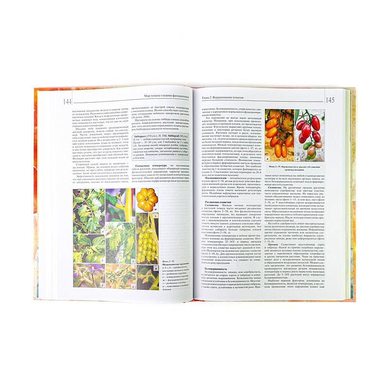 Ахатов А.К., Шишкина С.Н. Мир томата глазами фитопатолога (4-е изд.), изображение 3
