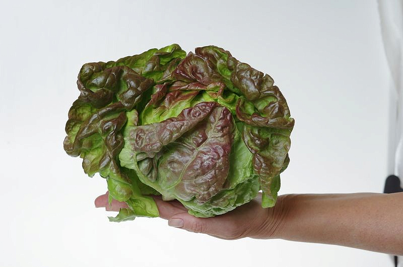 Партнер Салат кочанный РОЗМАРИ ^(1г), изображение 4