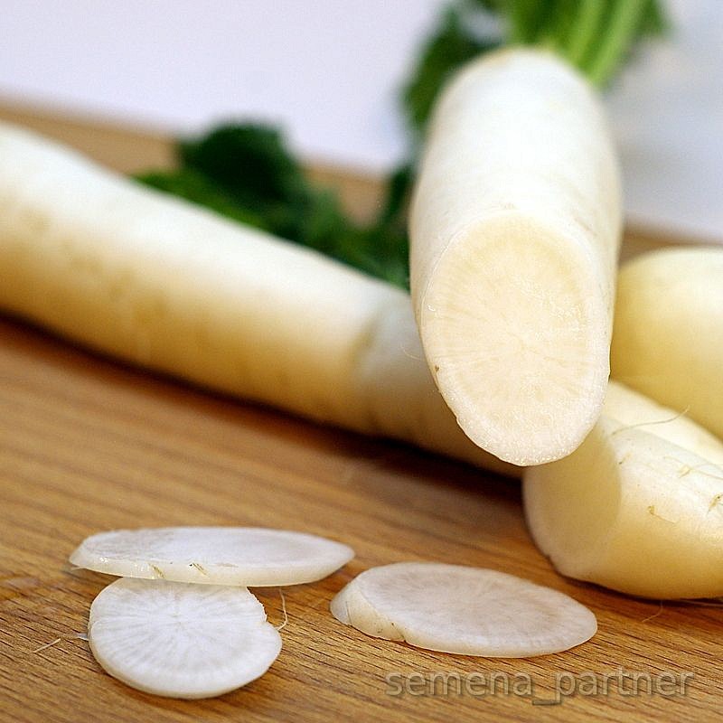 Партнер Дайкон ДУБИНУШКА ^(1г), изображение 2