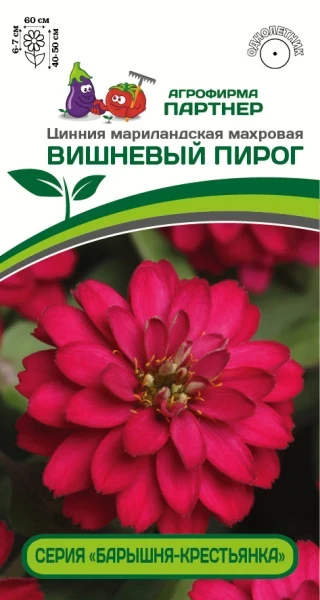 Партнер Цинния ВИШНЕВЫЙ ПИРОГ / мариландская махровая ^(5шт) 