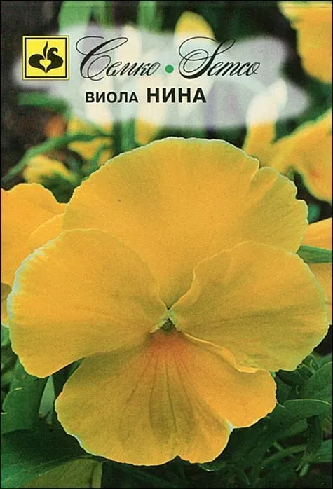 Семко Цветы Виола НИНА ^(0,1г) фото, описание