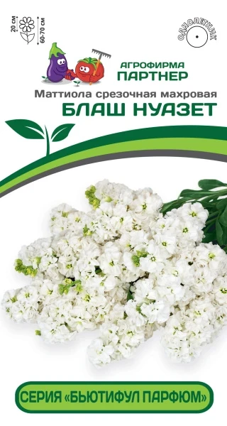 Партнер Маттиола срезочная махровая "Бьютифул Парфюм" БЛАШ НУАЗЕТ^(10шт) 2-ной пак