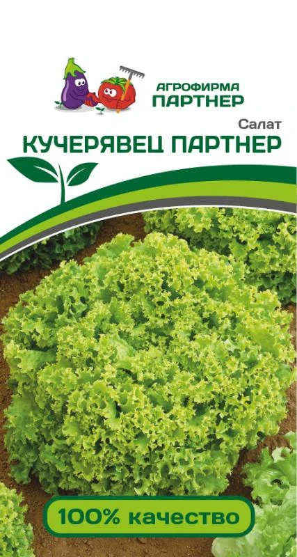 Партнер Салат КУЧЕРЯВЕЦ ПАРТНЕР ^(1г)