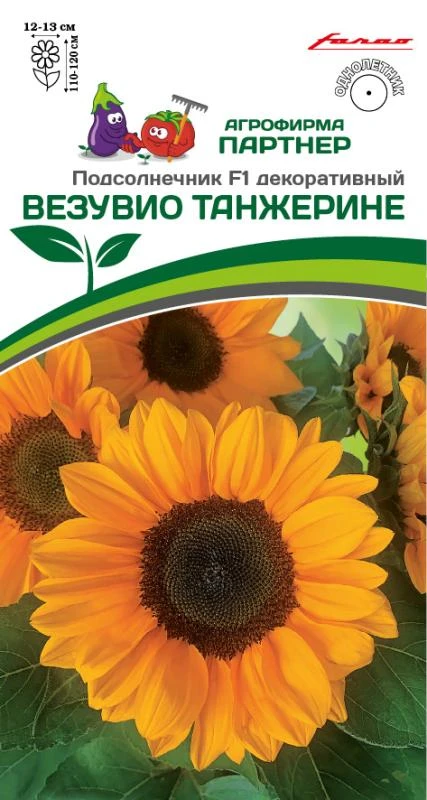 Партнер Подсолнечник F1 декоративный ВЕЗУВИО ТАНЖЕРИНЕ ^(10шт) 2-ной пак, изображение 0