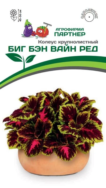 Партнер Колеус БИГ БЭН ВАЙН РЕД / шлемниковидный ^(5шт в амп)