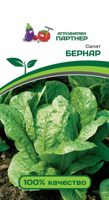 Партнер Салат кочанный БЕРНАР ^(0,5г)