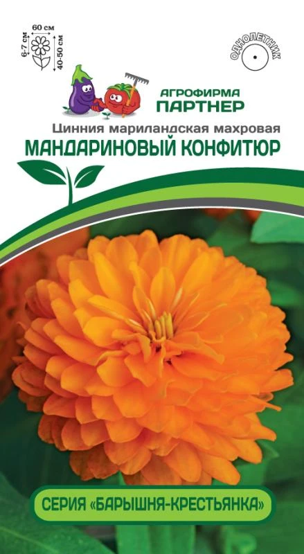 Партнер Цинния МАНДАРИНОВЫЙ КОНФИТЮР / мариландская махровая ^(5шт) 