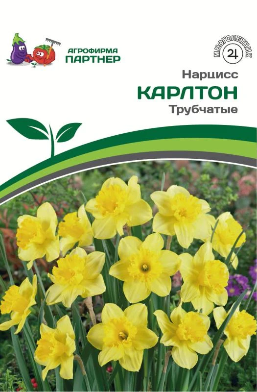 - Партнер Нарцисс трубчатый Карлтон ^(5шт/уп)