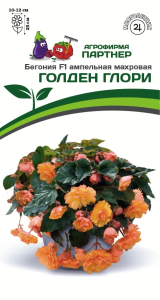 Партнер Бегония F1 клубневая ампельная махровая ГОЛДЕН ГЛОРИ ^(5шт в амп)