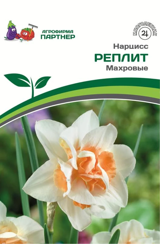 - Партнер Нарцисс махровый Реплит ^(5шт/уп)