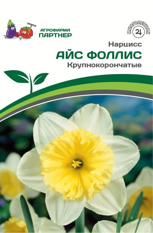 - Партнер Нарцисс крупнокорончатый Айс Фоллис ^(5шт/уп)