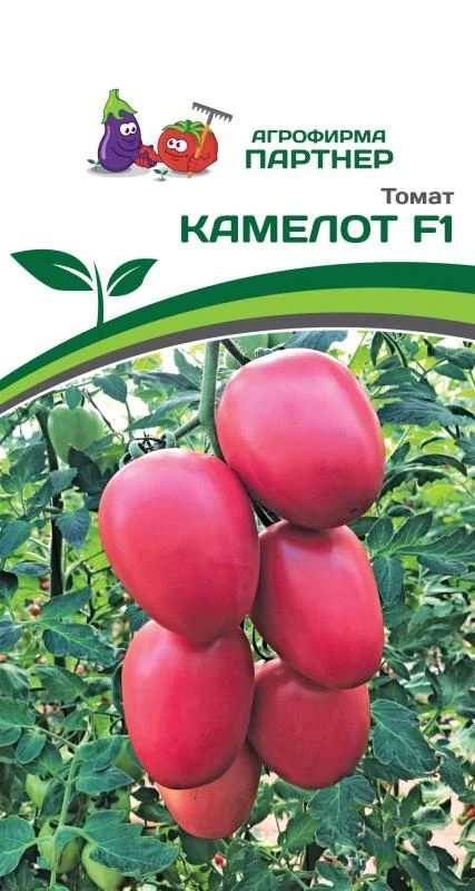 Партнер Томат КАМЕЛОТ F1 ^(5шт) 2-ной пак, изображение 0