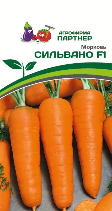 Партнер Морковь СИЛЬВАНО F1 ^(0,5г) фото, описание