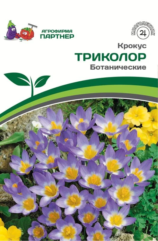 - Партнер Крокус ботанический Триколор ^(10шт/уп)