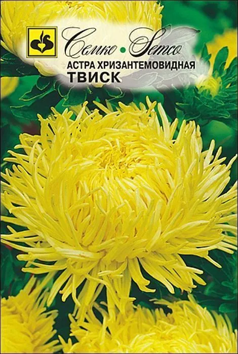 Семко Цветы Астра хризантемовидная ТВИСК ^(0,5г) фото, описание