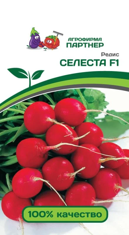 Партнер Редис СЕЛЕСТА F1 ^(1г)