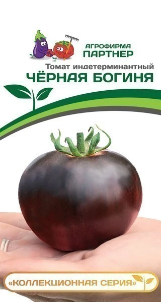 Партнер Томат ЧЕРНАЯ БОГИНЯ ^(10шт) 2-ной пак, изображение 0