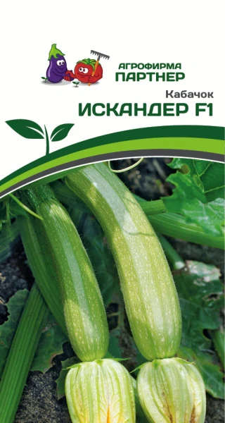 Партнер Кабачок ИСКАНДЕР F1 ^(5шт)