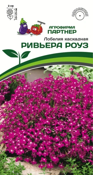 Партнер Лобелия каскадная РИВЬЕРА РОУЗ ^(10шт в амп)