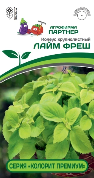 Партнер Колеус серия "КОЛОРИТ ПРЕМИУМ" ЛАЙМ ФРЕШ / шлемниковидный ^(5шт в амп)