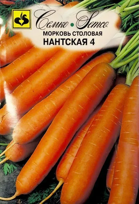 Семко Морковь НАНТСКАЯ 4 ^(3г) фото, описание
