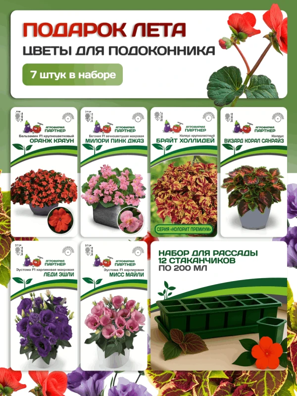 Партнер Набор ПОДАРОК ЛЕТА^ (1шт)