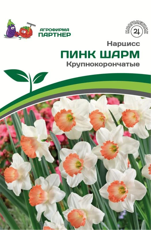 - Партнер Нарцисс крупнокорончатый Пинк Шарм ^(5шт/уп)